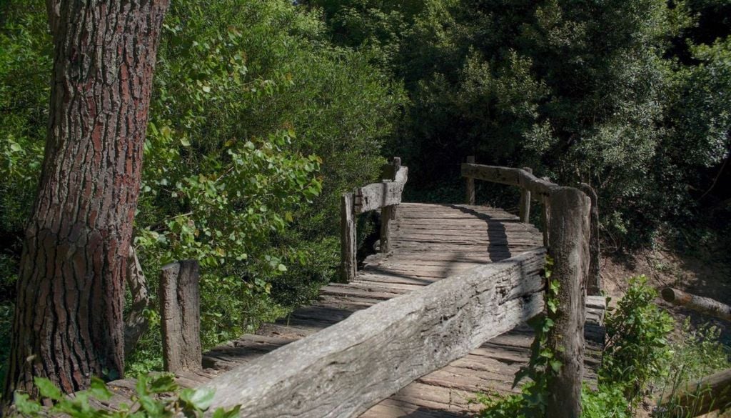 Reserva Pinar Norte