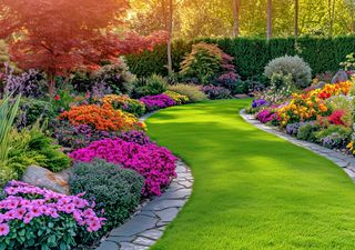 El secreto detrás de una primavera llena de flores: estas plantas son infalibles para embellecer tu jardín en septiembre