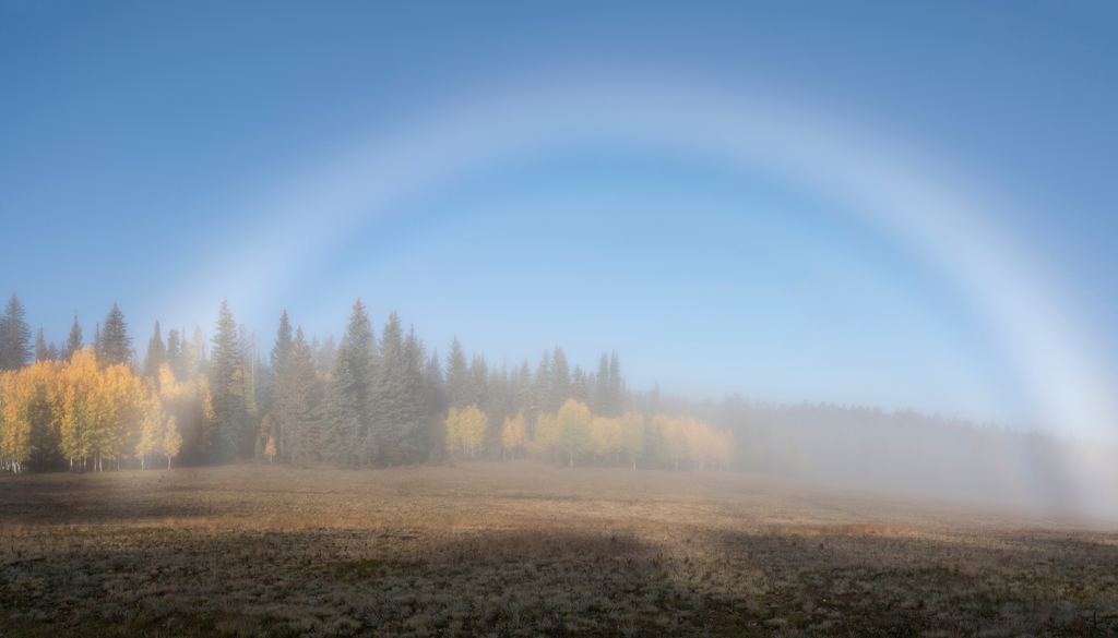 Como las gotas de niebla son más pequeñas que las de lluvia, los arcoíris de niebla son más pálidos, casi blancos.