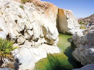 El secreto mejor guardado de Baja California: un oasis desconocido donde nadar en aguas termales