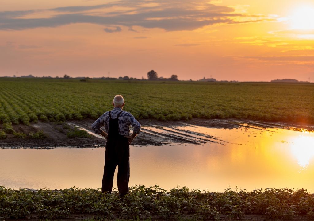 ¿El Niño o La Niña? Expertos aclaran qué clima esperar los próximos meses - Image 2