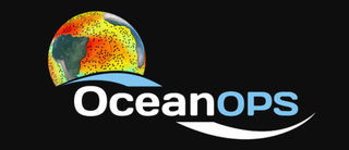 El sistema de observación oceánica 2020