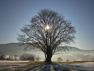 El solsticio de invierno, Santa Lucía y la noche más larga del año