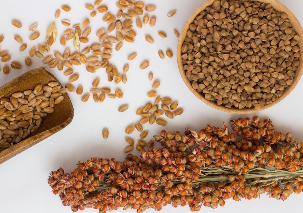 Sorgo, beneficios en la salud Sorgo, beneficios en la salud