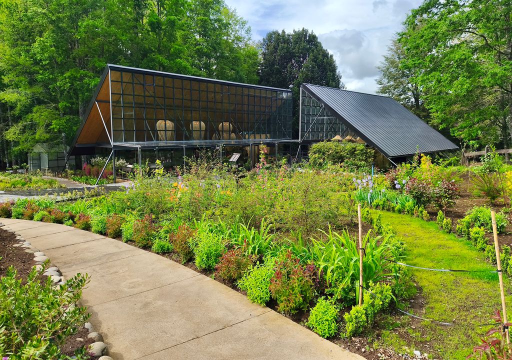 Parque Termal Botánico, sector Liucura, Araucanía Andina.