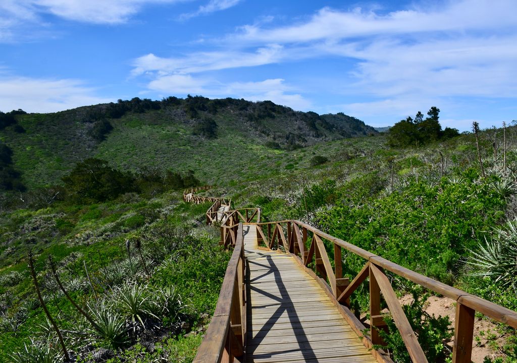 Parque Nacional Bosque Fray Jorge, Región de Coquimbo. Parque Nacional Bosque Fray Jorge, Región de Coquimbo.