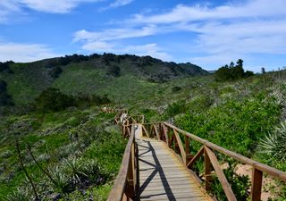 El sorprendente parque con bosque valdiviano en el norte de Chile: descubre esta joya de la Región de Coquimbo