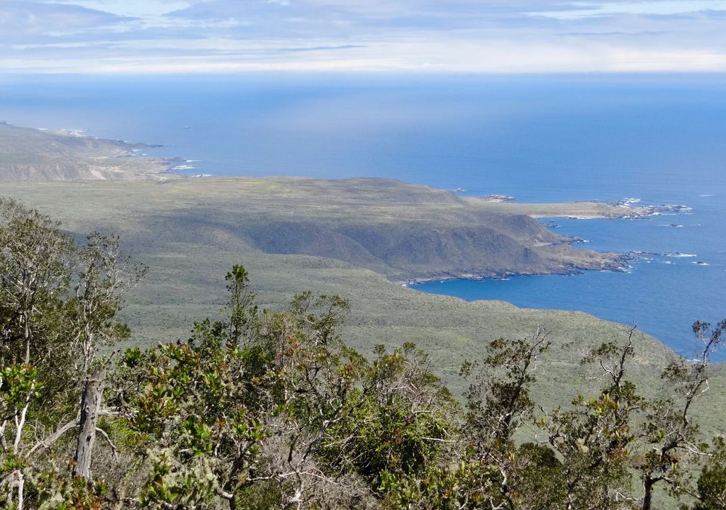 Vistas al Océano Pacífico desde el Parque Fray Jorge. Vistas al Océano Pacífico desde el Parque Fray Jorge.