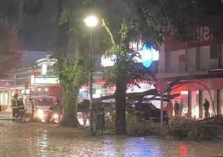 Sur de Chile azotado por temporal: árboles caídos, techos volados y más de 200 mil hogares sin electricidad