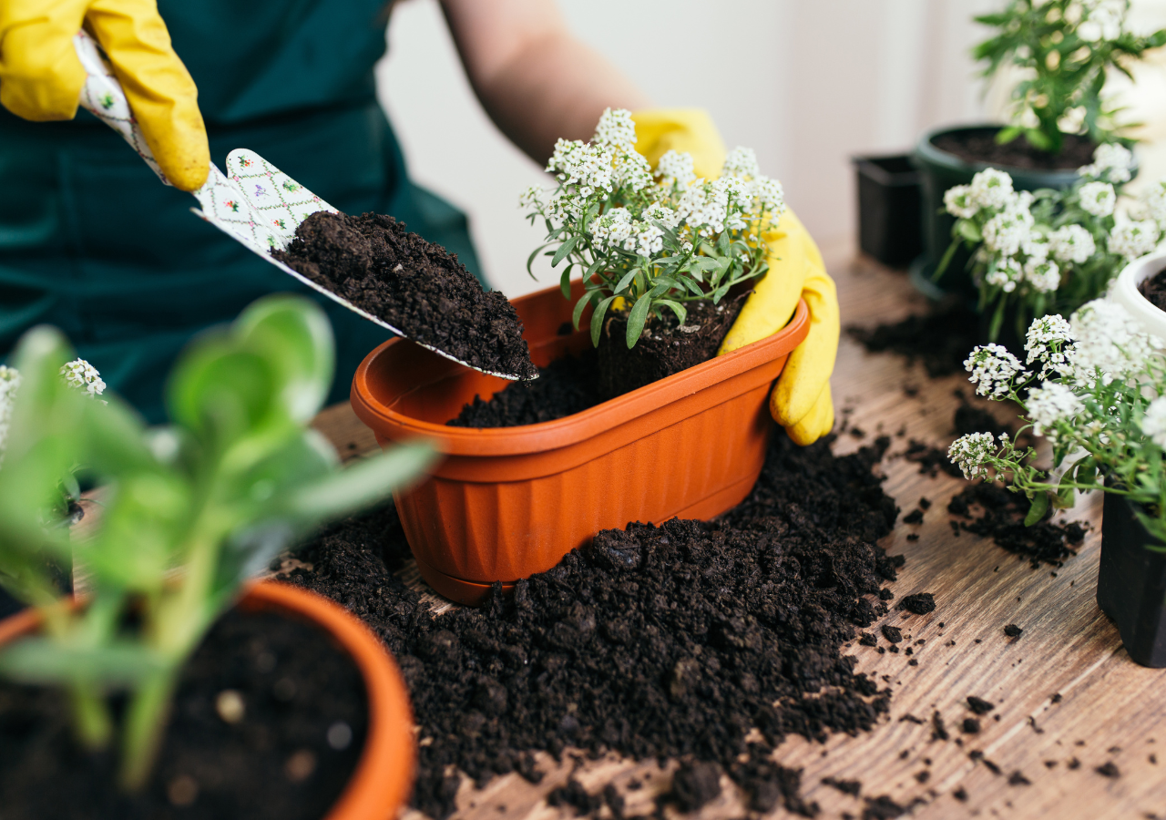 Saber qué necesita tu planta, observarla y ajustar la mezcla a sus condiciones es lo que hace la diferencia.
