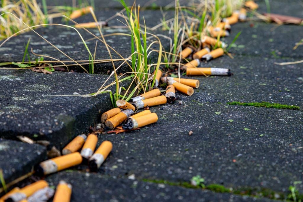 El tabaquismo es un grave problema de salud pública en el mundo