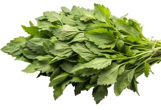 El té que ayuda a calmar los dolores y fortalece la salud: beneficios y preparación
