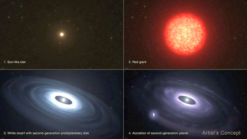 Concepto artístico, no realizado a escala, que muestra la evolución de una estrella similar al Sol: desde una estrella joven (1), pasando por la fase de gigante roja (2), hasta convertirse en una pequeña y brillante enana blanca rodeada por un disco formado por sus capas exteriores expulsadas (3). A partir de este material podría formarse un planeta de segunda generación (4). Concepto artístico, no realizado a escala, que muestra la evolución de una estrella similar al Sol: desde una estrella joven (1), pasando por la fase de gigante roja (2), hasta convertirse en una pequeña y brillante enana blanca rodeada por un disco formado por sus capas exteriores expulsadas (3). A partir de este material podría formarse un planeta de segunda generación (4). Créditos: NASA, ESA y Leah Hustak (STScI)