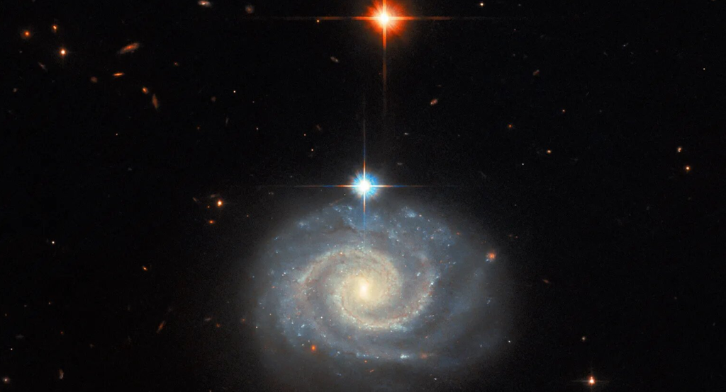 Dieses Bild des Hubble-Weltraumteleskops der NASA zeigt eine helle Spiralgalaxie mit der Bezeichnung MCG-01-24-014, die etwa 275 Millionen Lichtjahre von der Erde entfernt ist. Kredit: ESA/Hubble und NASA, C. Kilpatrick