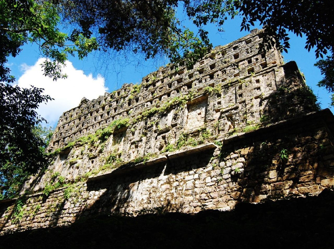 Sitio de especial riqueza en lo espeso de la selva. Imagen tomada de: Gobierno de México / Cultura.