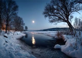 El tiempo de este invierno 2025-2026 en México: efectos de La Niña, el Vórtice Polar y otros indicadores de frío