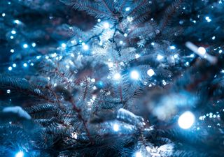 El tiempo de Navidad en México: el modelo de referencia en Meteored revela las primeras tendencias: Esto debes esperar