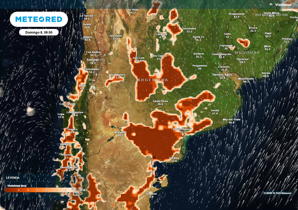 Niebla, Neblina, Visibilidad, Peligro, Argentina, Pronostico Niebla, Neblina, Visibilidad, Peligro, Argentina, Pronostico