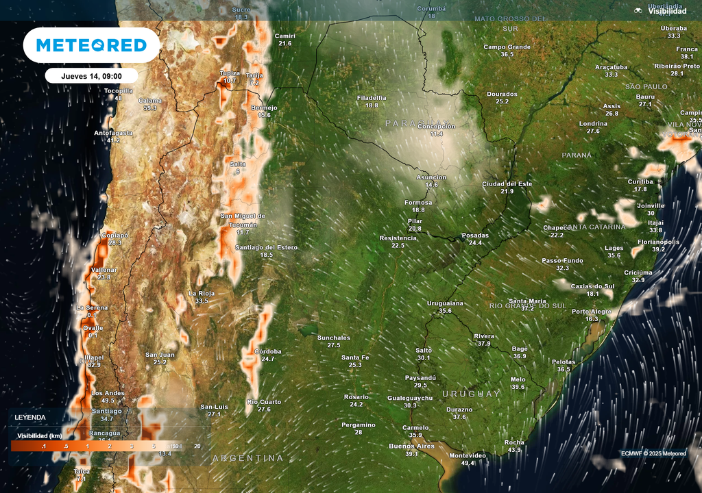 Visibilidad según el modelo ECMWF el jueves 14 de Agosto de 2025 a las 9 h en Argentina