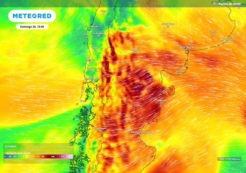 Temperatura, Primavera, Heladas, Agosto, Argentina, Pronostico, Buenos Aires Temperatura, Primavera, Heladas, Agosto, Argentina, Pronostico, Buenos Aires