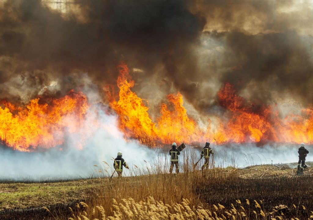 incendio forestal y bomberos combatiendo