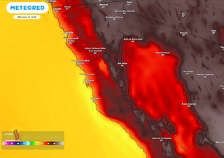El tiempo en Mexicali, Tijuana y el estado de Baja California, 12 de junio: rachas de 60 km/h y ambiente caluroso