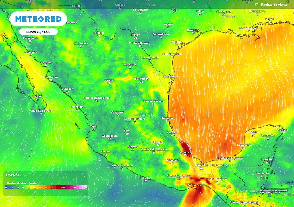 Pronóstico de ráfagas de viento en km/h Evento "Norte" fuerte este lunes con más de 80 km/h, especialmente en Veracruz y la región del Istmo de Tehuantepec.