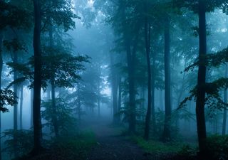 El tiempo en México este fin de semana: frío, viento y lluvias por el frente 12, su masa ártica y una vaguada activa