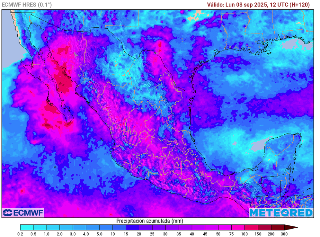 Pronóstico de precipitaciones acumuladas en milímetros