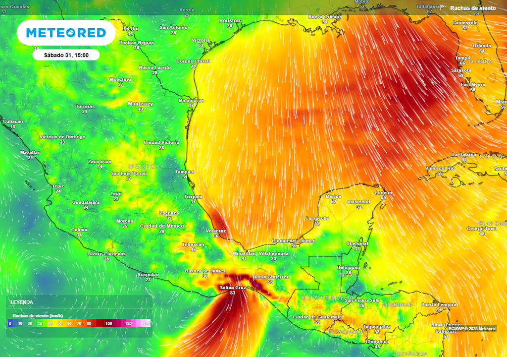 Aire ártico ocasionará evento "Norte" fuerte a muy fuerte en todo el Golfo de México, Caribe y el Istmo con más de 80 km/h, incrementando sensación de frío.