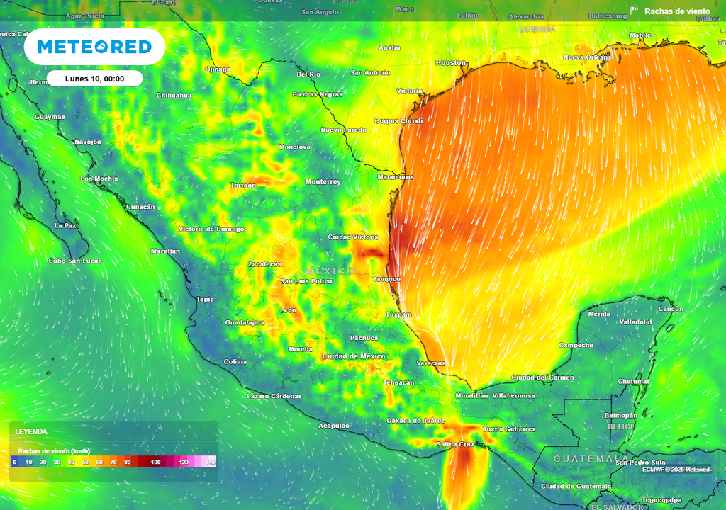 Pronóstico de ráfagas de viento en km/h