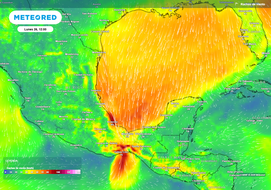 Aire ártico y aumento de presión, favorecerán viento en estados del norte y Golfo de México, desarrollándose evento "Norte" con más de 80 km/h.