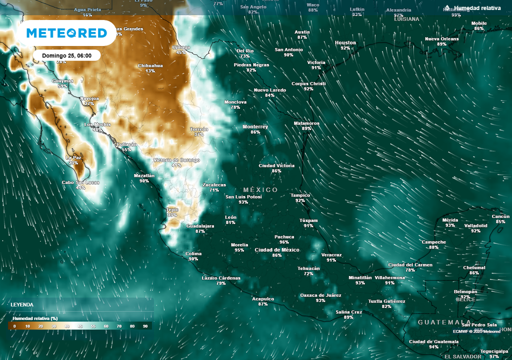 Pronóstico de humedad relativa en porcentaje Pronóstico de humedad relativa en porcentaje