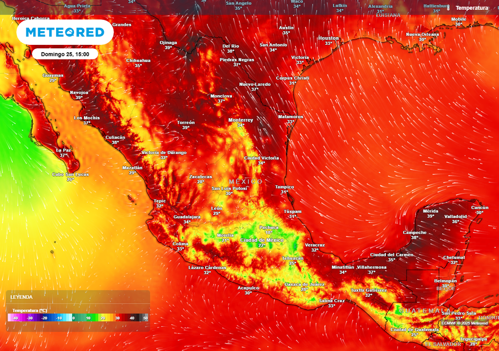 Pronóstico de temperaturas en grados Celsius Pronóstico de temperaturas en grados Celsius