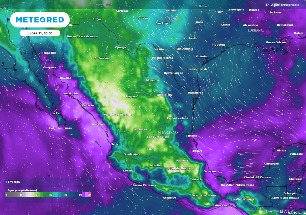 Pronóstico de agua precipitable en milímetros
