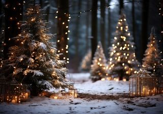 El tiempo en Navidad sobre México: ¿seguiremos muy abrigados por las bajas temperaturas de El Niño?