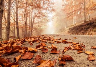 El tiempo en octubre: así se prevé el mes de las lluvias torrenciales