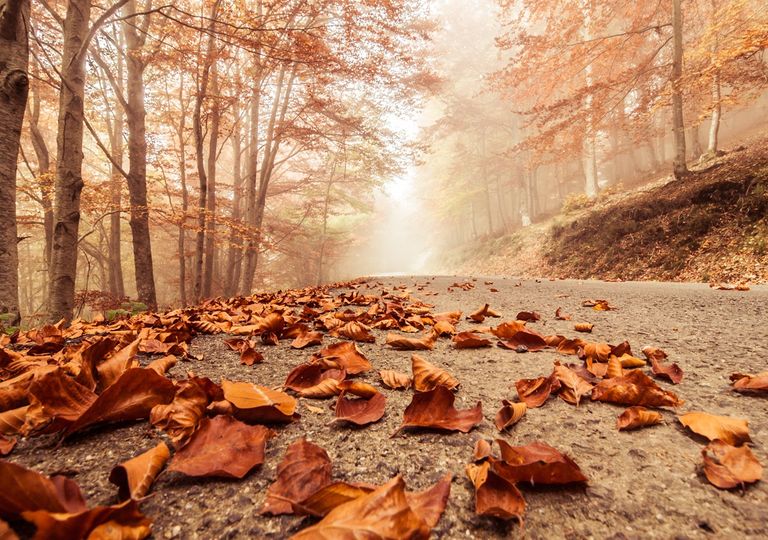 El tiempo en octubre: así se prevé el mes de las lluvias torrenciales El tiempo en octubre: así se prevé el mes de las lluvias torrenciales