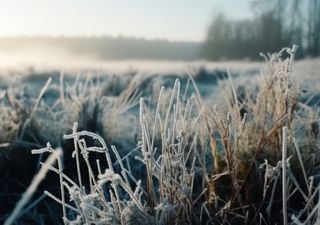 El tiempo esta semana en Argentina: el frío polar y las heladas avanzan con temperaturas de hasta casi -10 °C