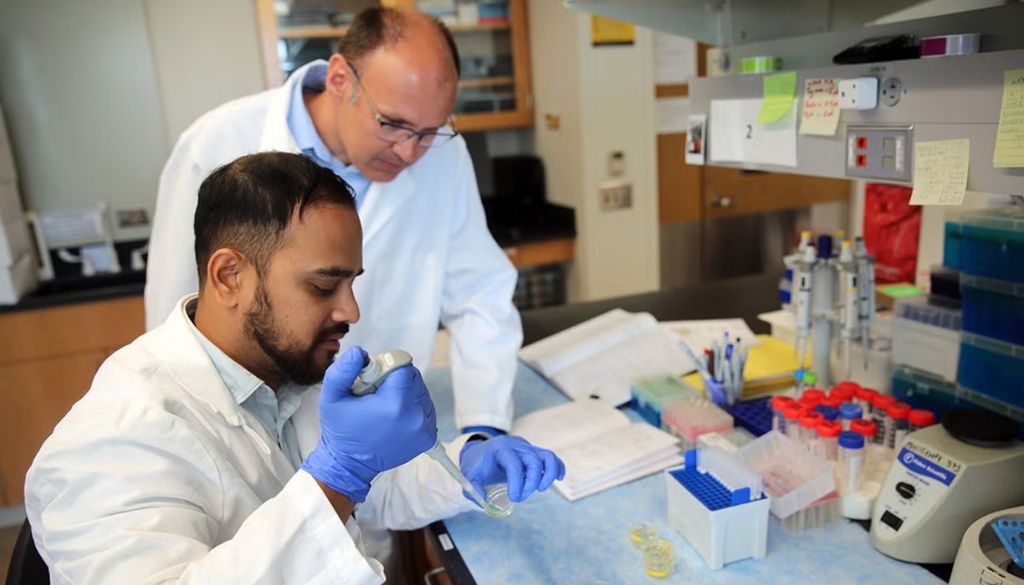 Astronautas higado espacio El profesor de la UCF, Michal Masternak, y el estudiante de doctorado en ciencias biomédicas, Md Tanjim Alam. Crédito: Eddy Duryea '13.