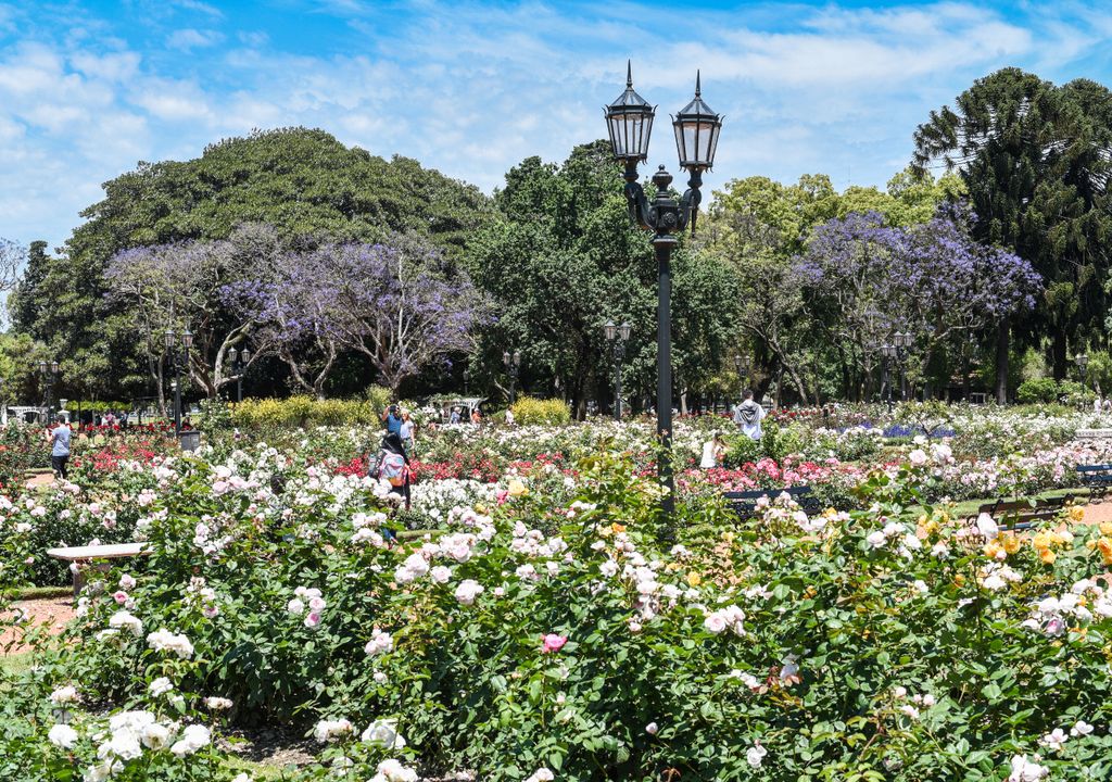 Rosedal Planetario Buenos Aires primavera Rosedal Planetario Buenos Aires primavera