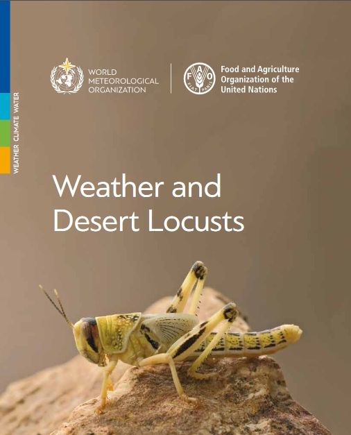 Tiempo y langosta del desierto Tiempo y langosta del desierto