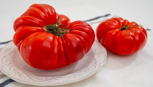 El tomate que no puede copiar el s&uacute;per: Limache y el secreto de su sabor intenso est&aacute;n en tu jard&iacute;n