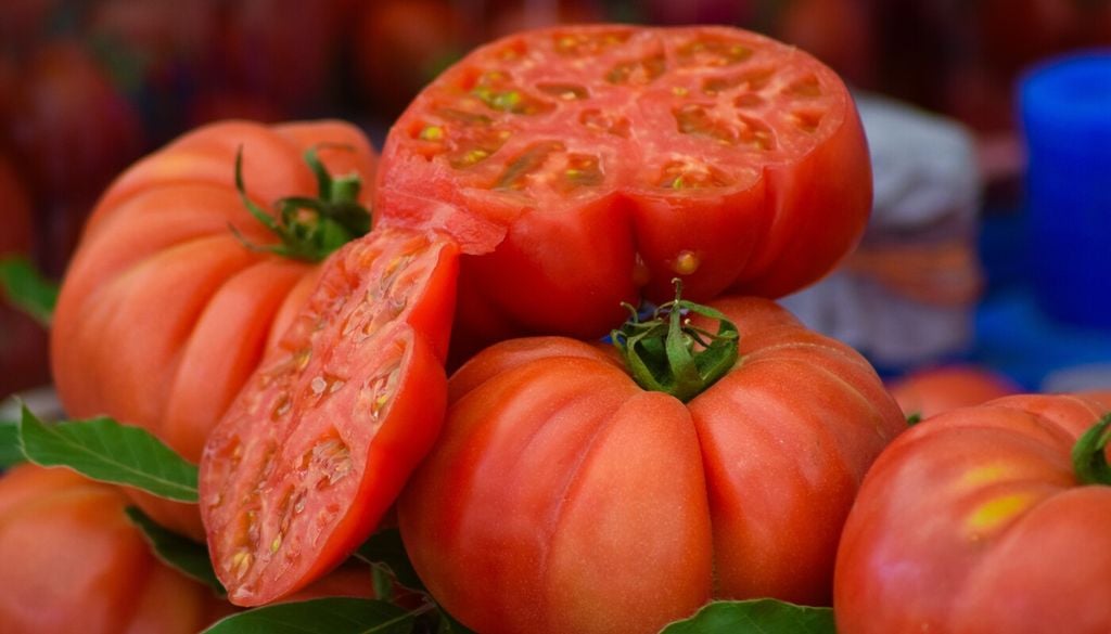 La combinación entre clima y genética da como resultado un fruto menos resistente, pero mucho más sabroso y aromático.