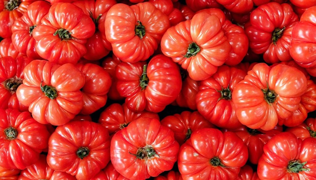 Los tomates comerciales priorizan firmeza y duración, lo que muchas veces reduce su intensidad de sabor.
