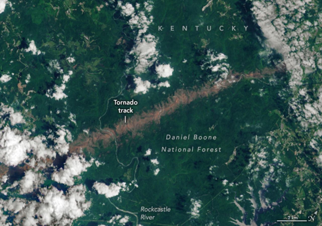 Una imágen obtenida por la sonda OLI-2 portada por el satélite Landsat 9 muestra claramente la huella de destrucción que dejó un tornado de categoría 4 sobre bosques del estado de Kentucky, en Estados Unidos. Imagen: NASA