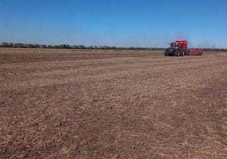 El trigo avanza a ritmo r&eacute;cord, pero las lluvias de junio ser&aacute;n clave para completar la siembra