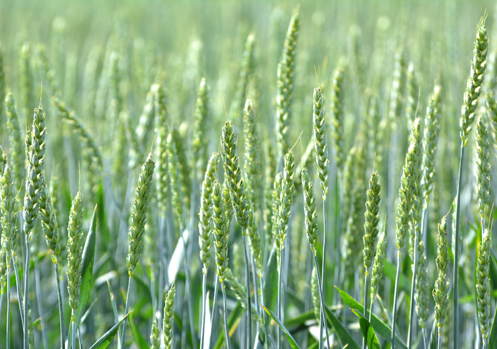 No se trata solo de producir más, sino de producir mejor en un entorno que se está deteriorando.