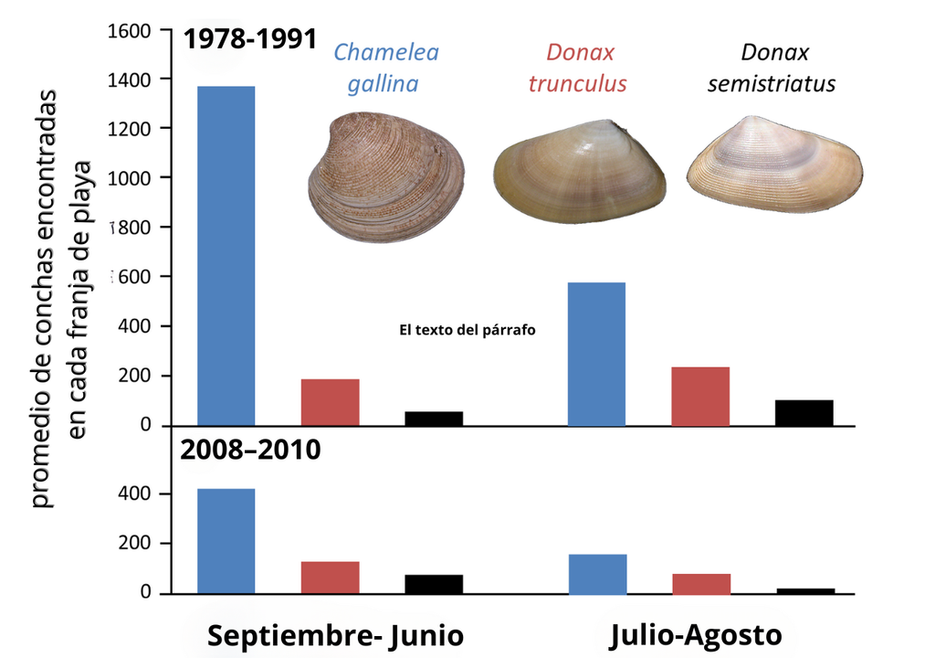 crisis ambiental; playas; ecosistemas marinos; costas; turismo sostenible crisis ambiental; playas; ecosistemas marinos; costas; turismo sostenible