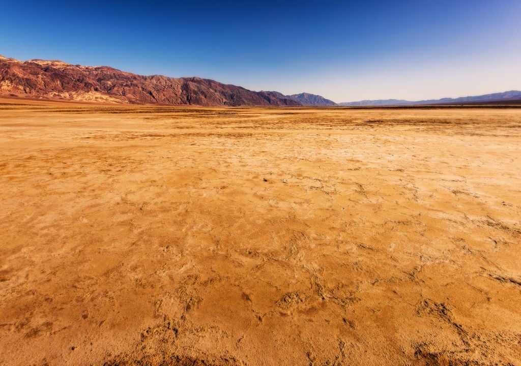 Au cours de cet été 2024, pendant neuf jours consécutifs du mois de juillet, la température maximale a dépassé 51,7°C.